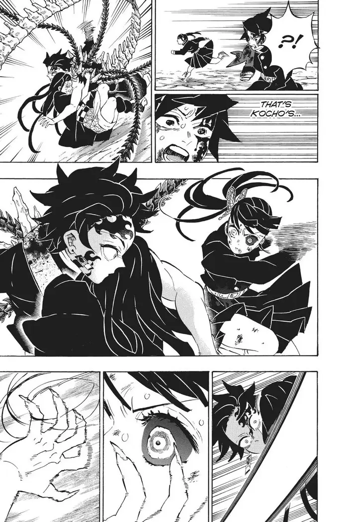 Demon Slayer Chapter 202 image 17_optimized